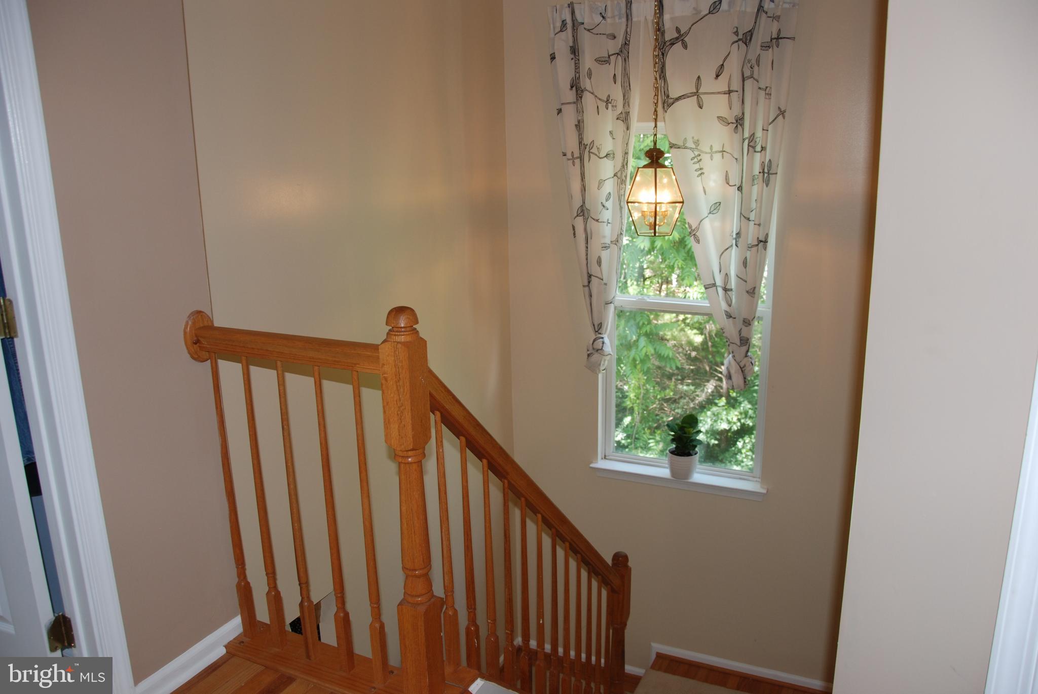 MUSE HILL - Residential