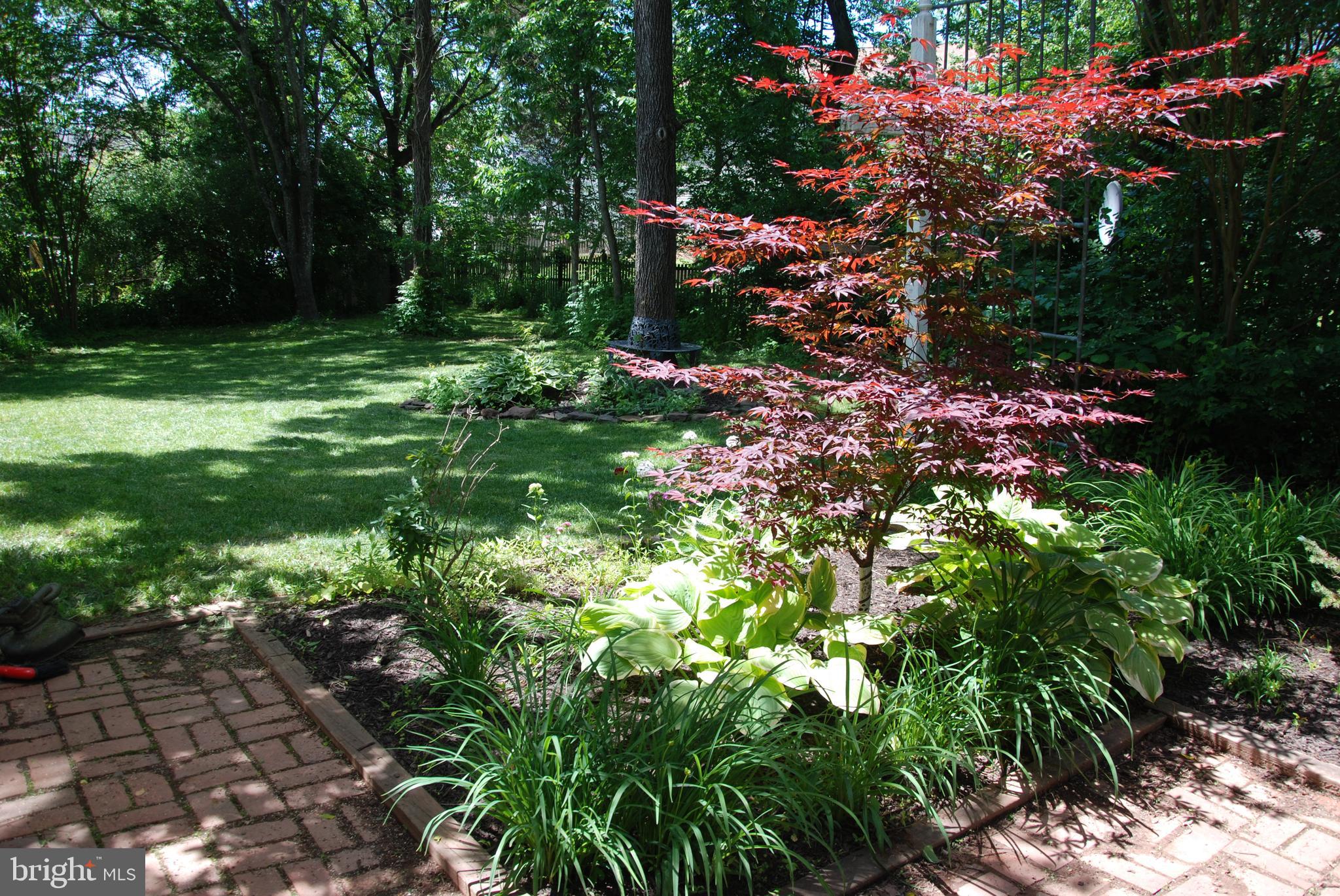 MUSE HILL - Residential