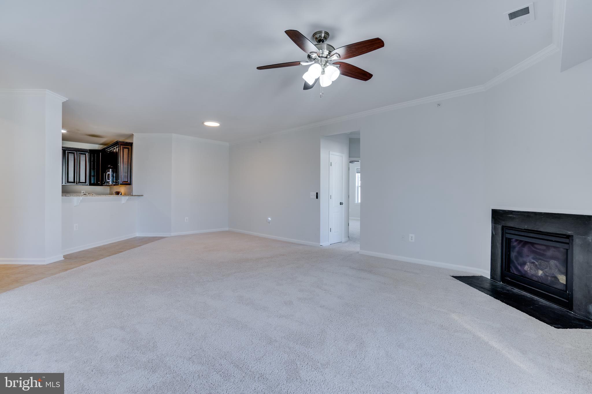 CENTRE PARK AT STONE RIDGE - Residential