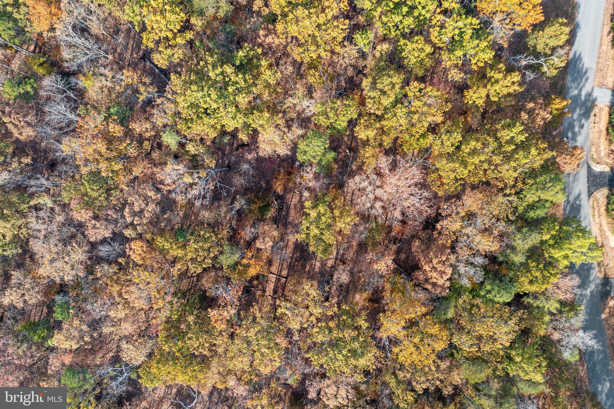 FRESHWATER ESTATES - Land