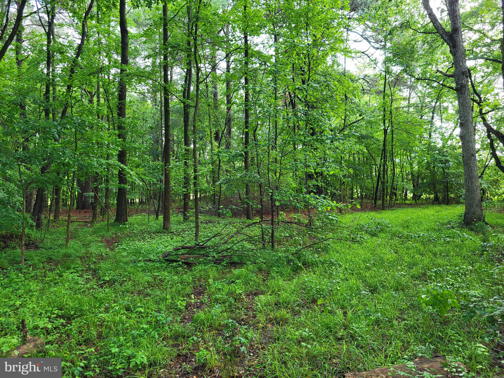 Lot B BLADES ROAD
