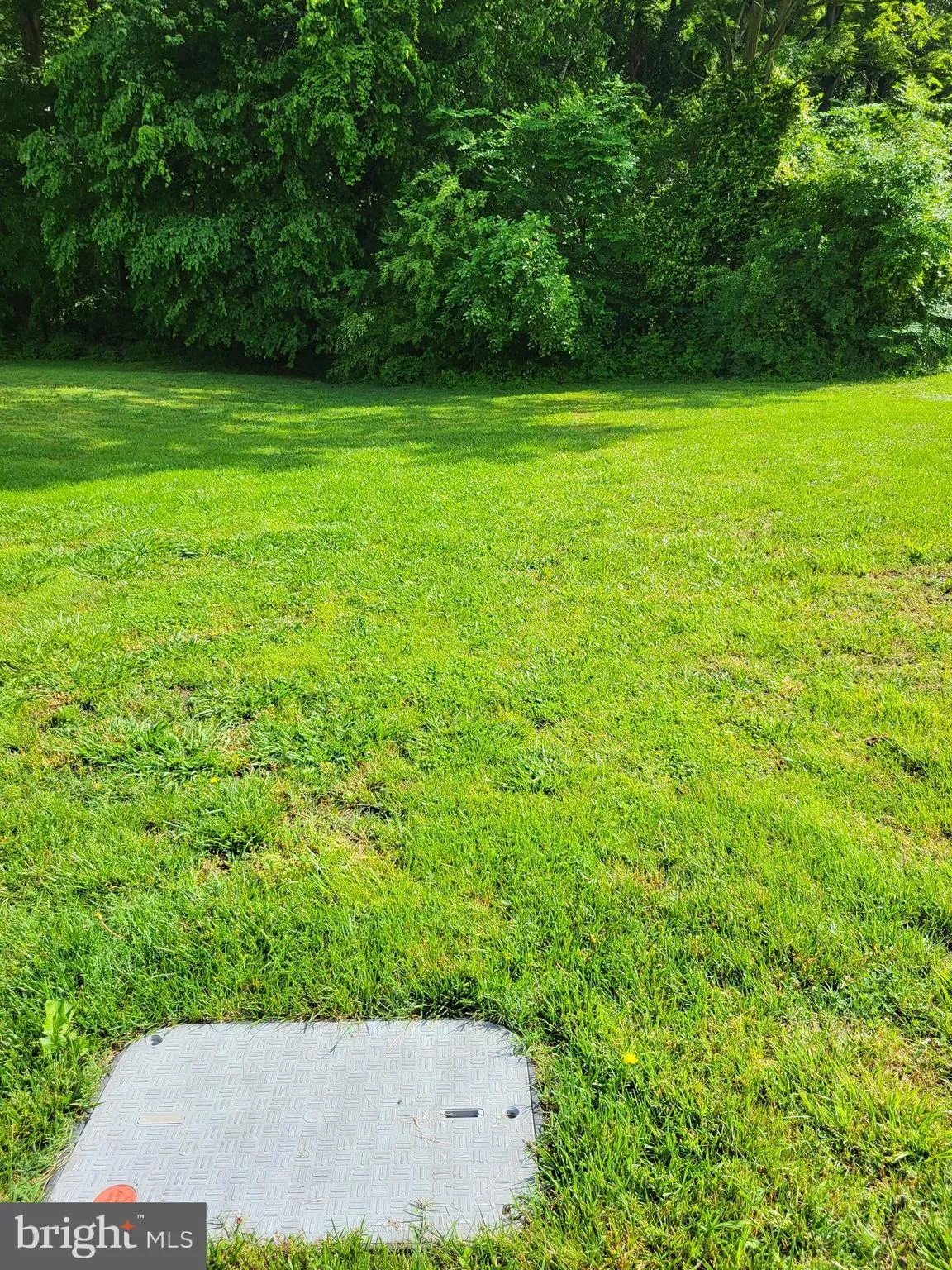 Cordova, Maryland 21625, United States, ,Land,Contingent,139665