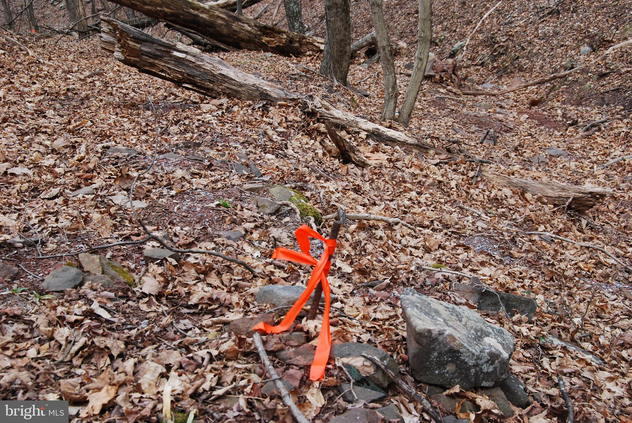 VALLEY HIGH TIMBER FARMS - Land