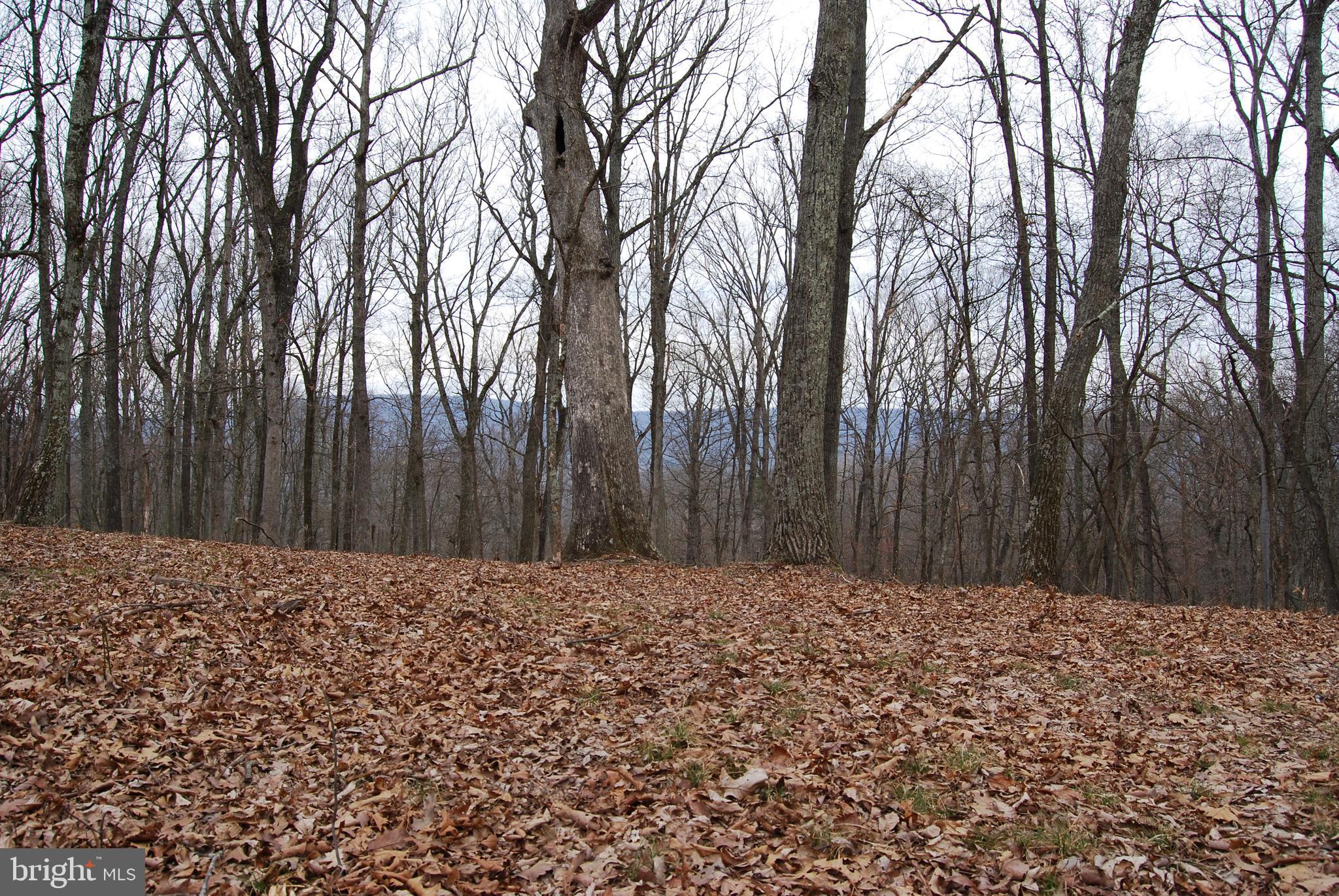 VALLEY HIGH TIMBER FARMS - Land