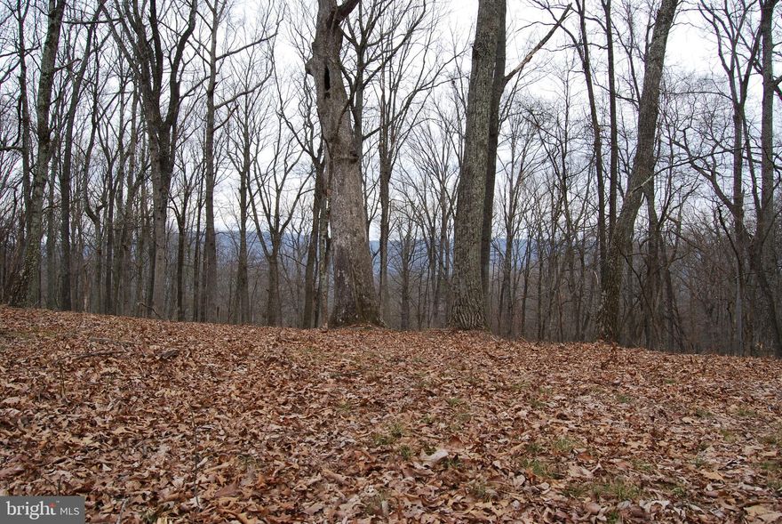 Prime Building Lot Overlooking the Valleys of West Virginia

This property sits on top of the ridge that is perfectly located to view the large trees speckled throughout the property as well the valley that spans down to the Potomac River. From the ridge top your views in the winter span across the next ridge over where you can see up the mountain into the large pines. In the valley below a small intermittent stream relaxes the soul as it splashes off the rocks. The property is often frequented by deer and turkeys enriching the charm of being out in nature.The electric pole is conveniently located on the property making a hookup a simple task. The property corner on Keith Lane has been marked as well as two more on the property line on the south side. Give me a call today to view this prime building lot.