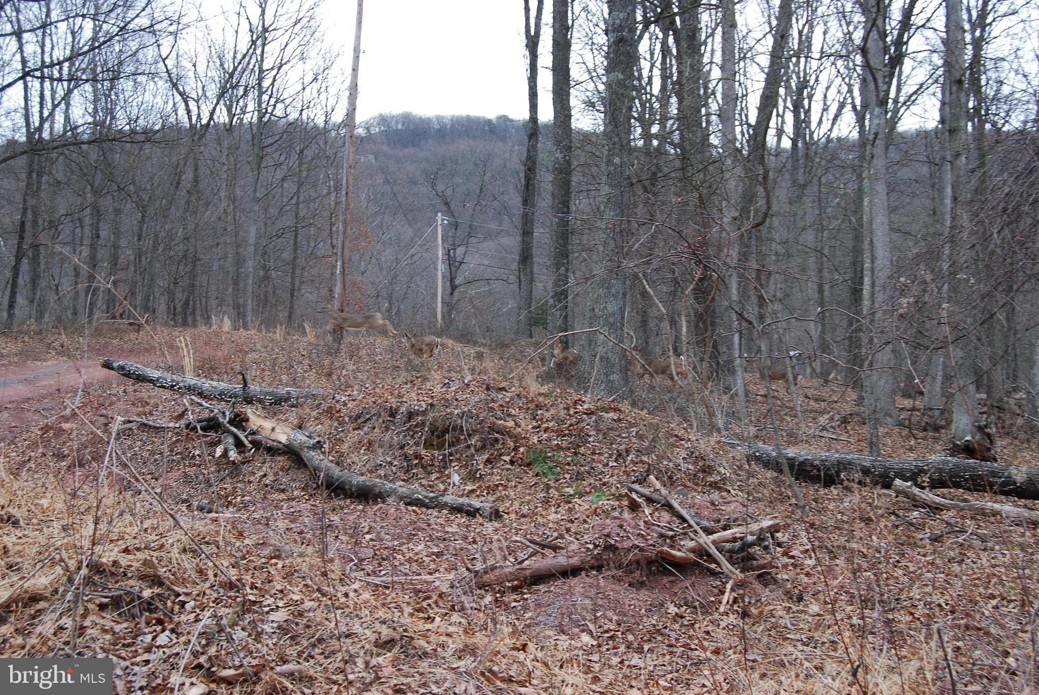 VALLEY HIGH TIMBER FARMS - Land