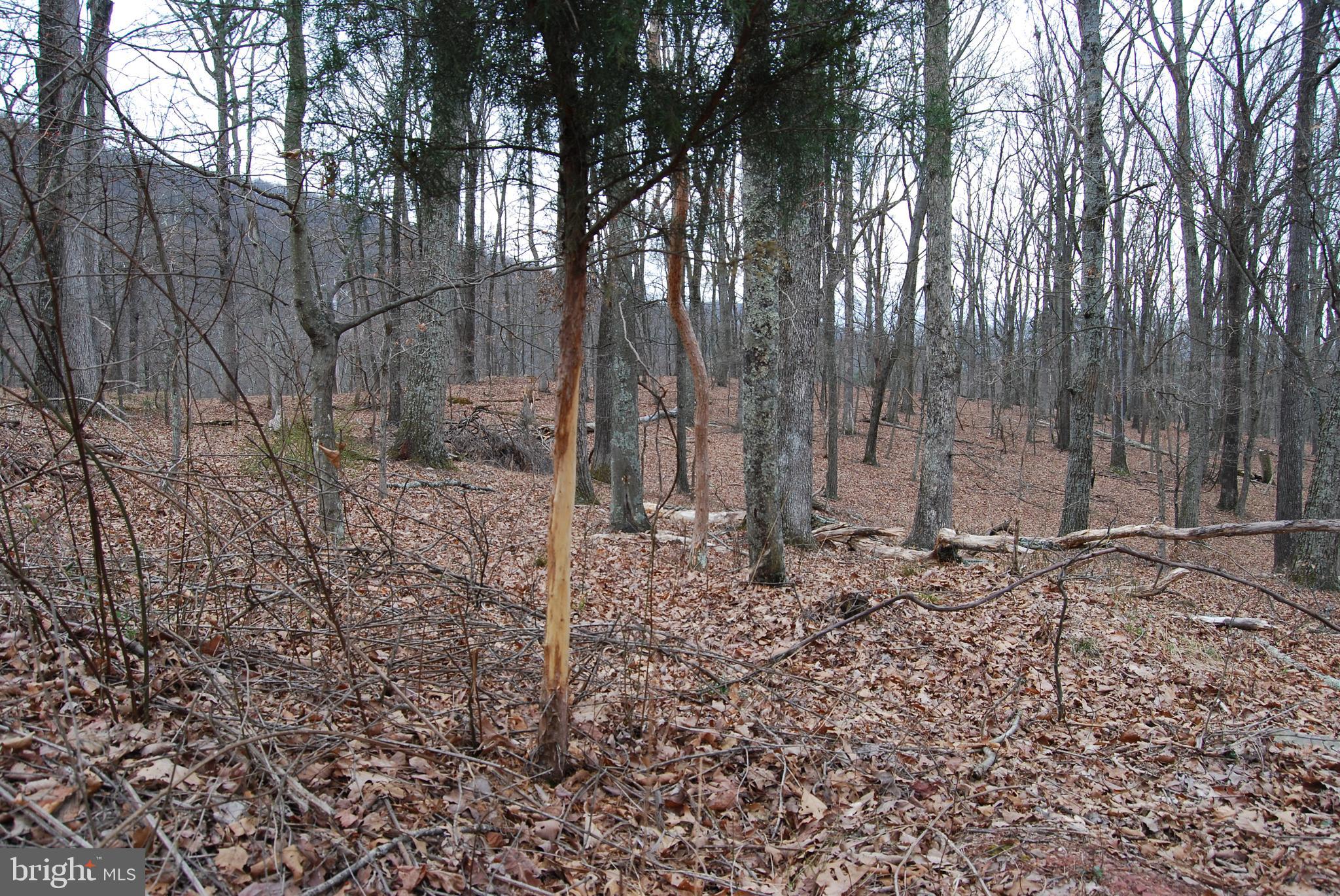 VALLEY HIGH TIMBER FARMS - Land
