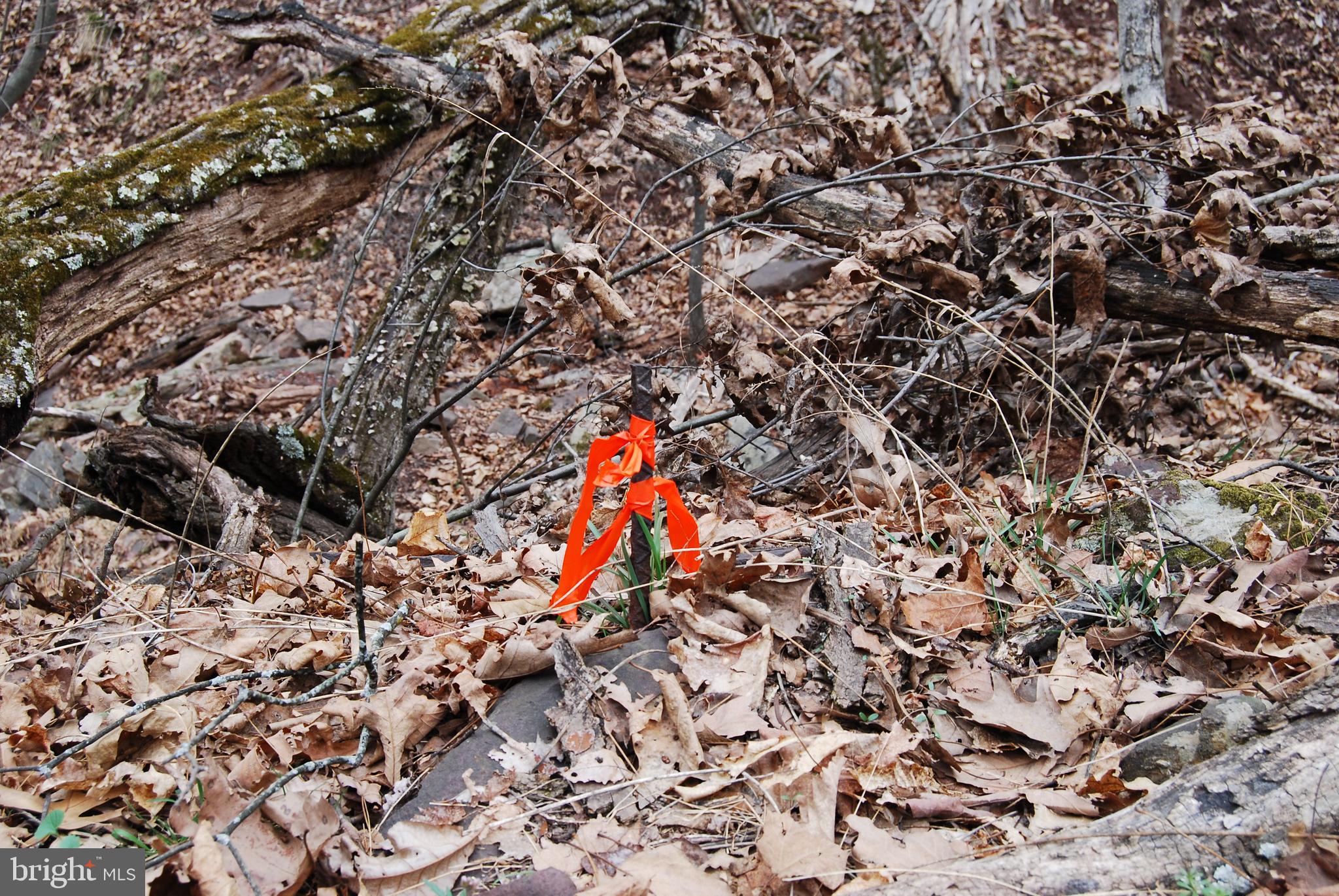 VALLEY HIGH TIMBER FARMS - Land