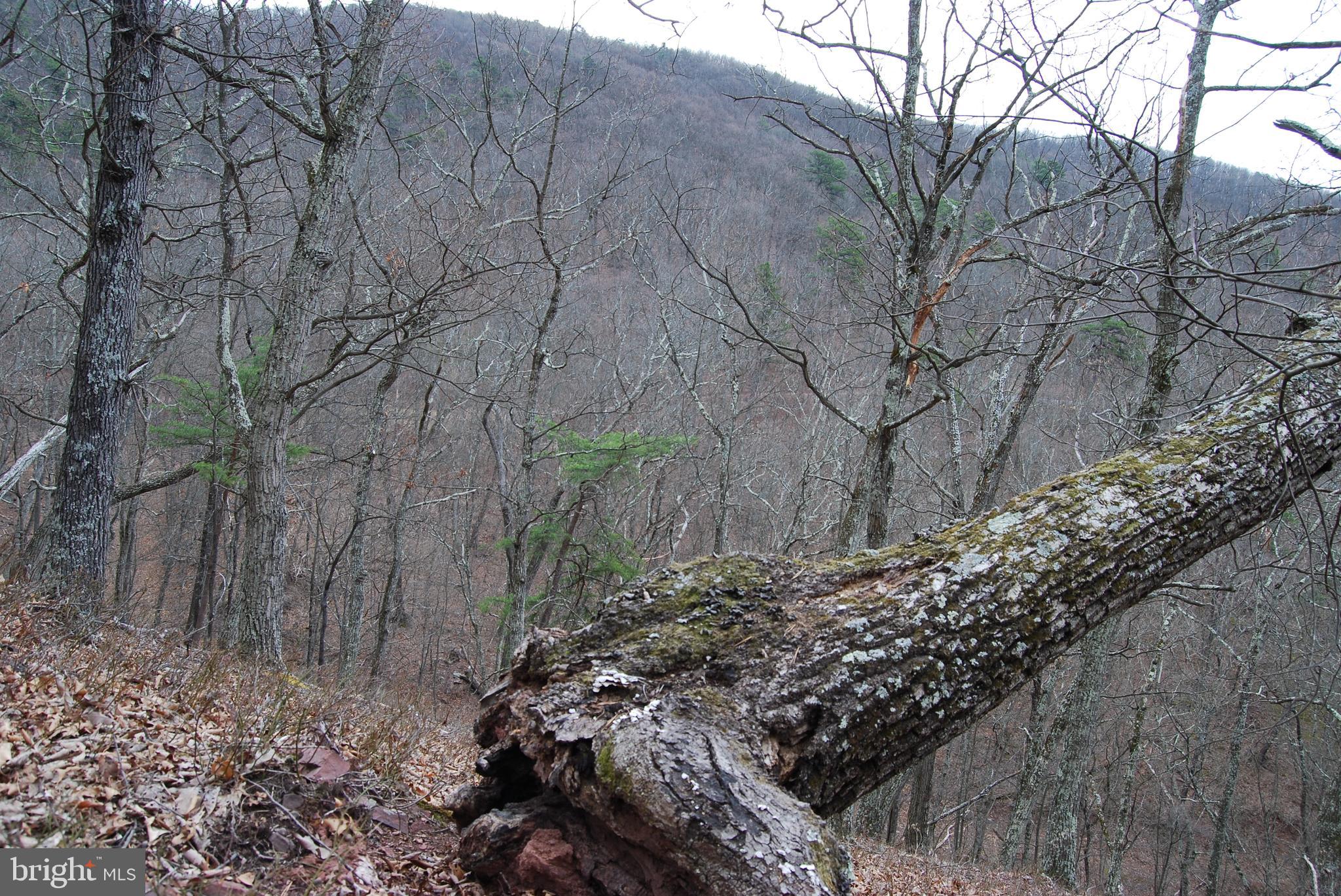 VALLEY HIGH TIMBER FARMS - Land