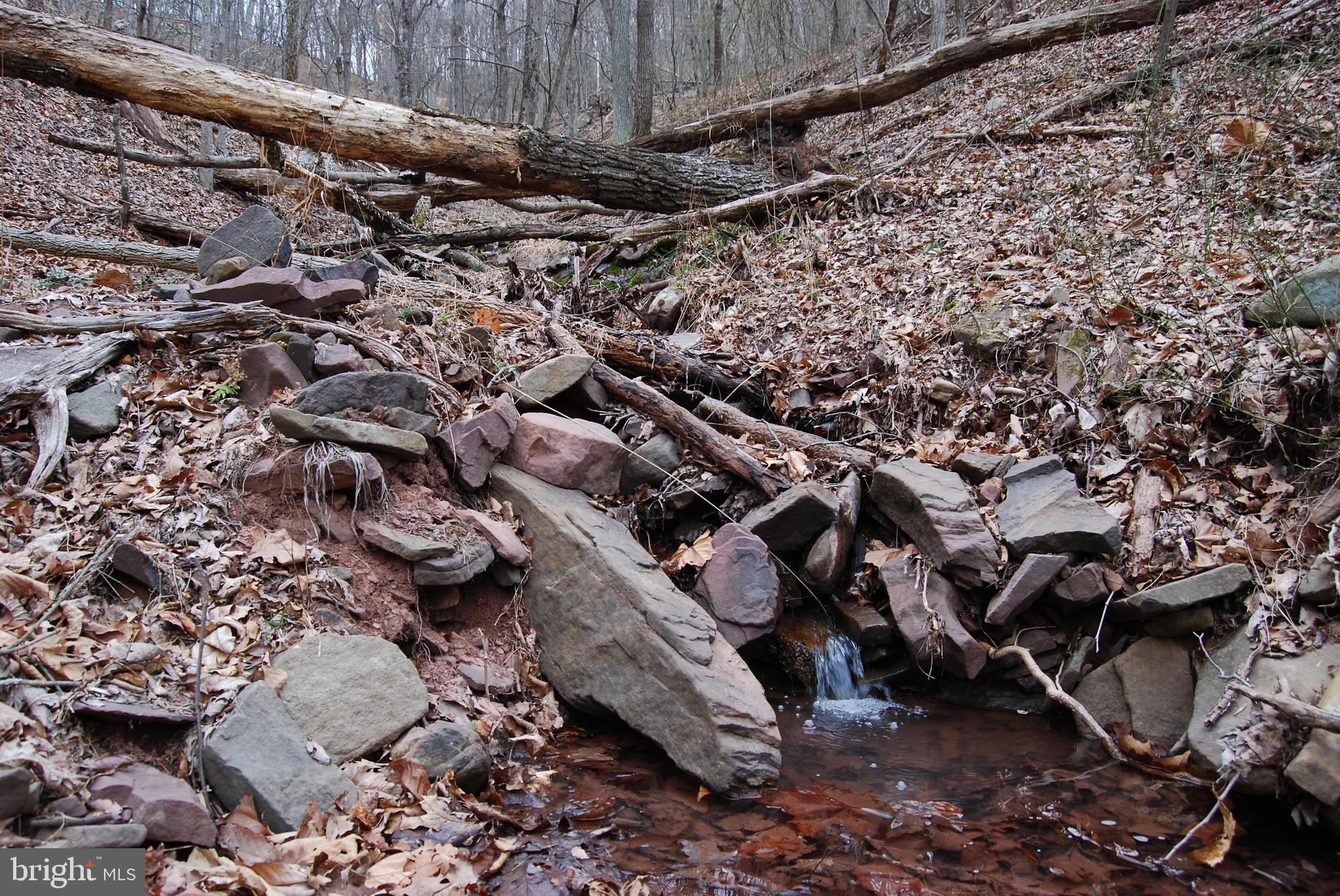 VALLEY HIGH TIMBER FARMS - Land