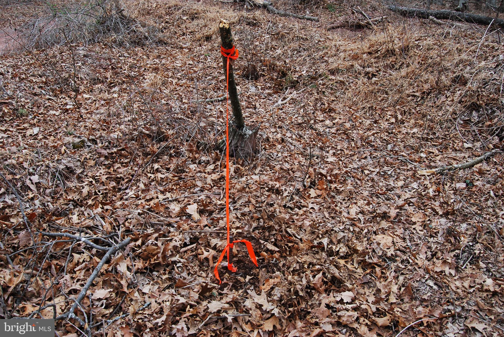 VALLEY HIGH TIMBER FARMS - Land