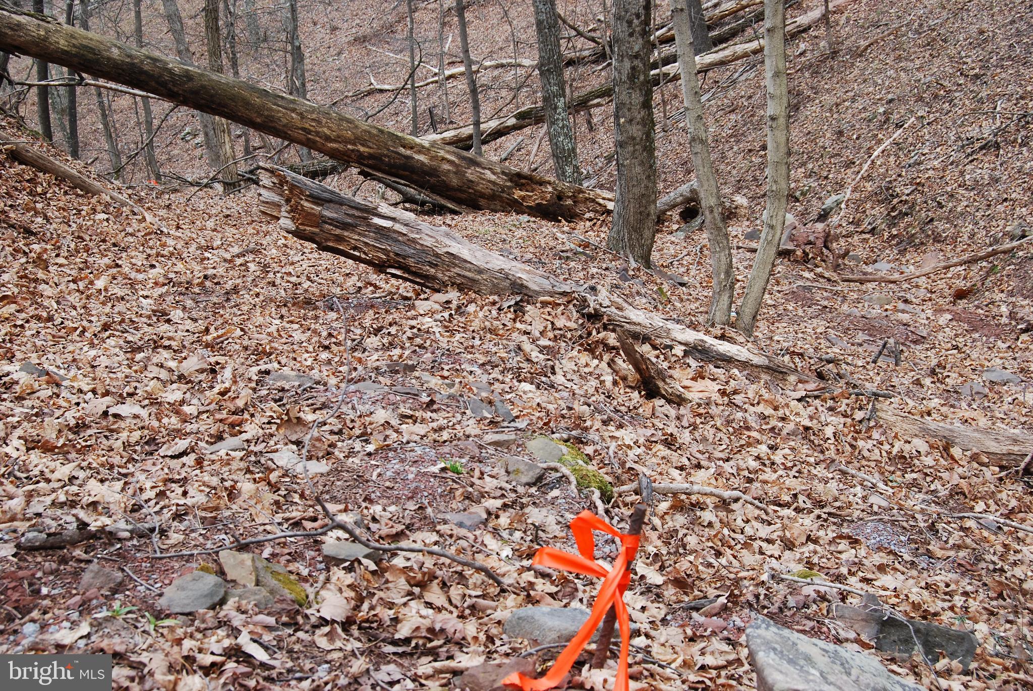 VALLEY HIGH TIMBER FARMS - Land