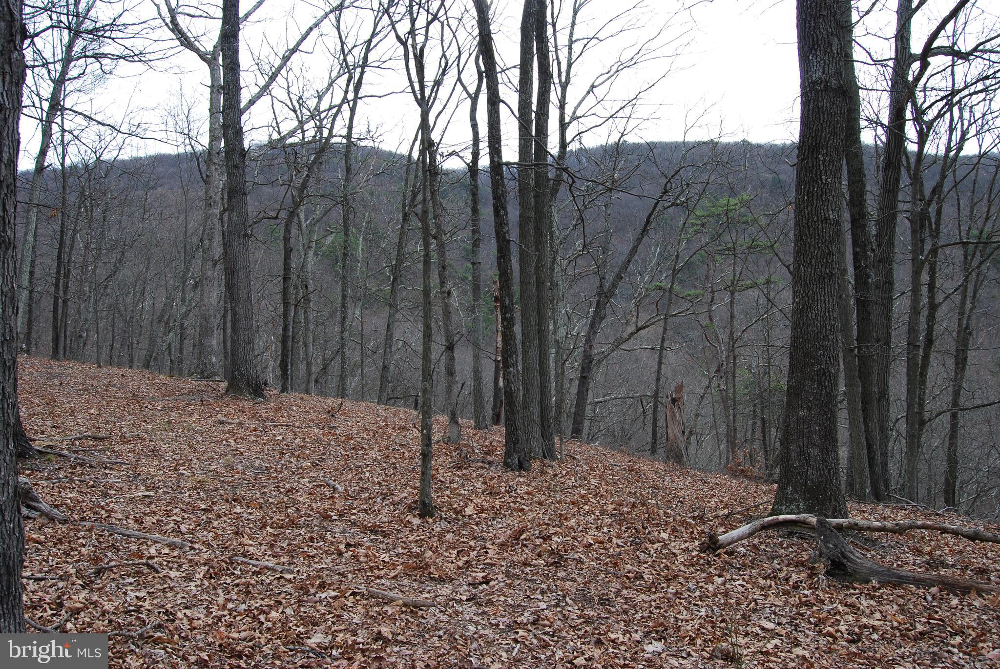 VALLEY HIGH TIMBER FARMS - Land
