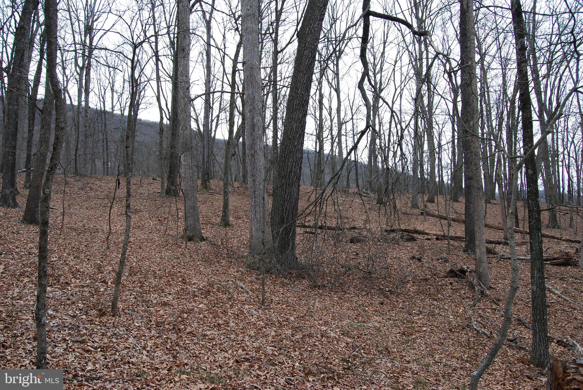 VALLEY HIGH TIMBER FARMS - Land