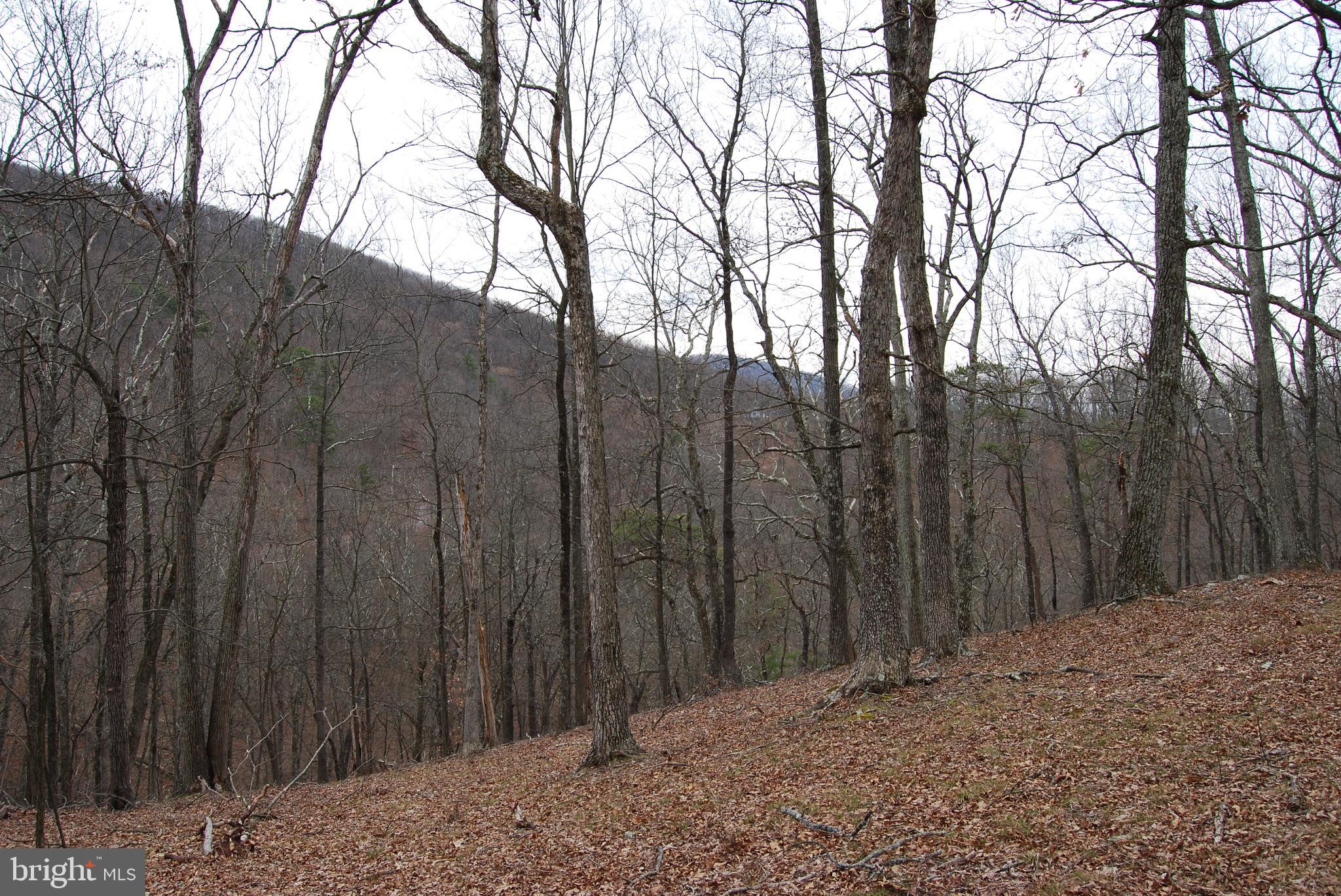 VALLEY HIGH TIMBER FARMS - Land