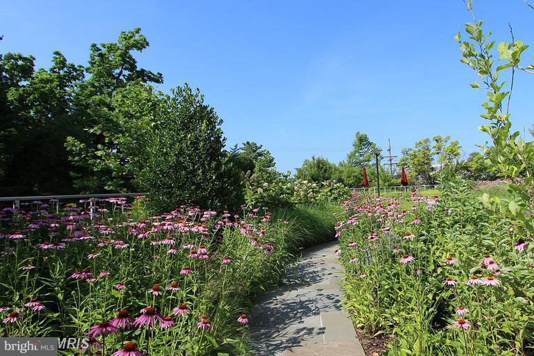 THE KENWOOD - Residential