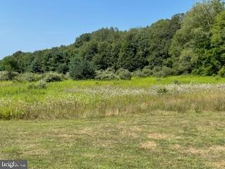 Lot 11 Blue Spruce OFF DRY HOLLOW ROAD ROAD