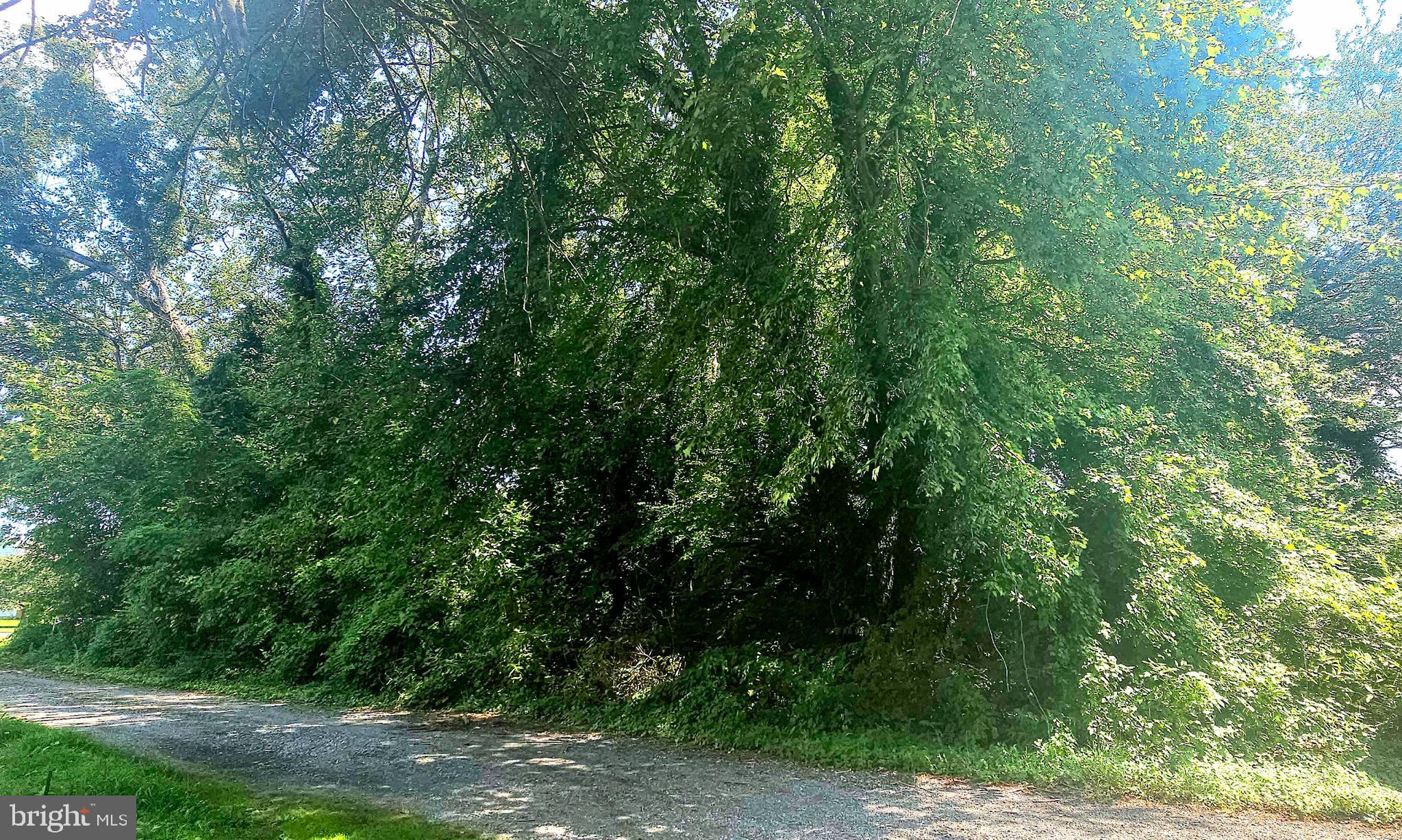 0 COVE ROAD