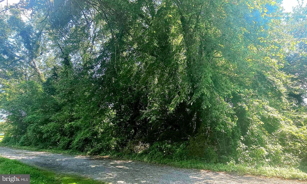 Photo of 0 Cove Road, DOVER, DE 19904 (MLS # DEKT2040206)