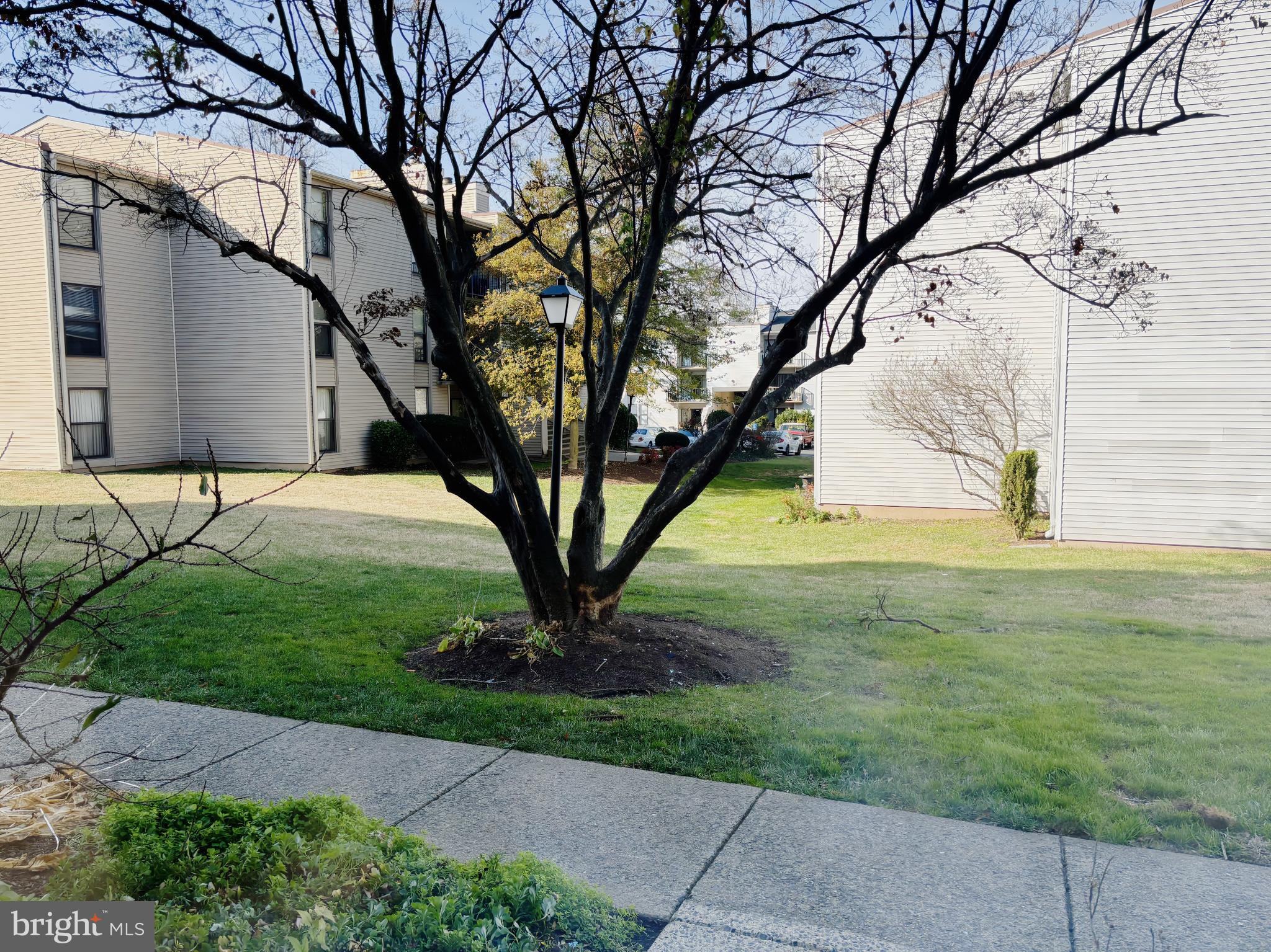 FIRESIDE - Residential Lease