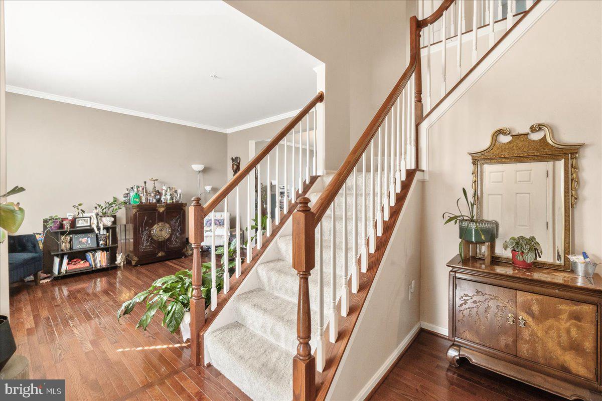 SUN MEADOW - Residential Lease