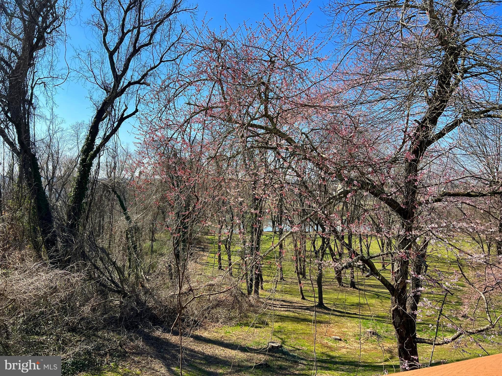 CHATHAM LANDING - Residential Lease