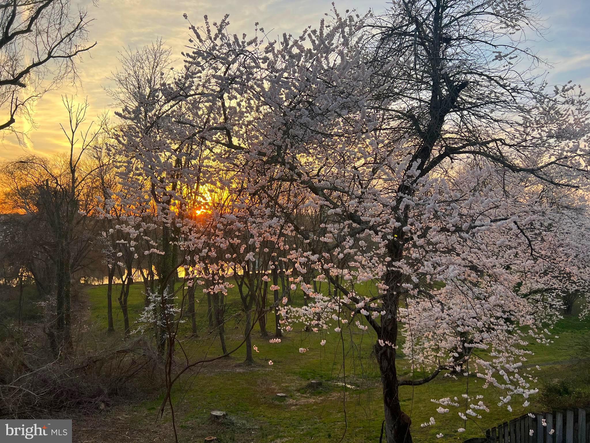 CHATHAM LANDING - Residential Lease