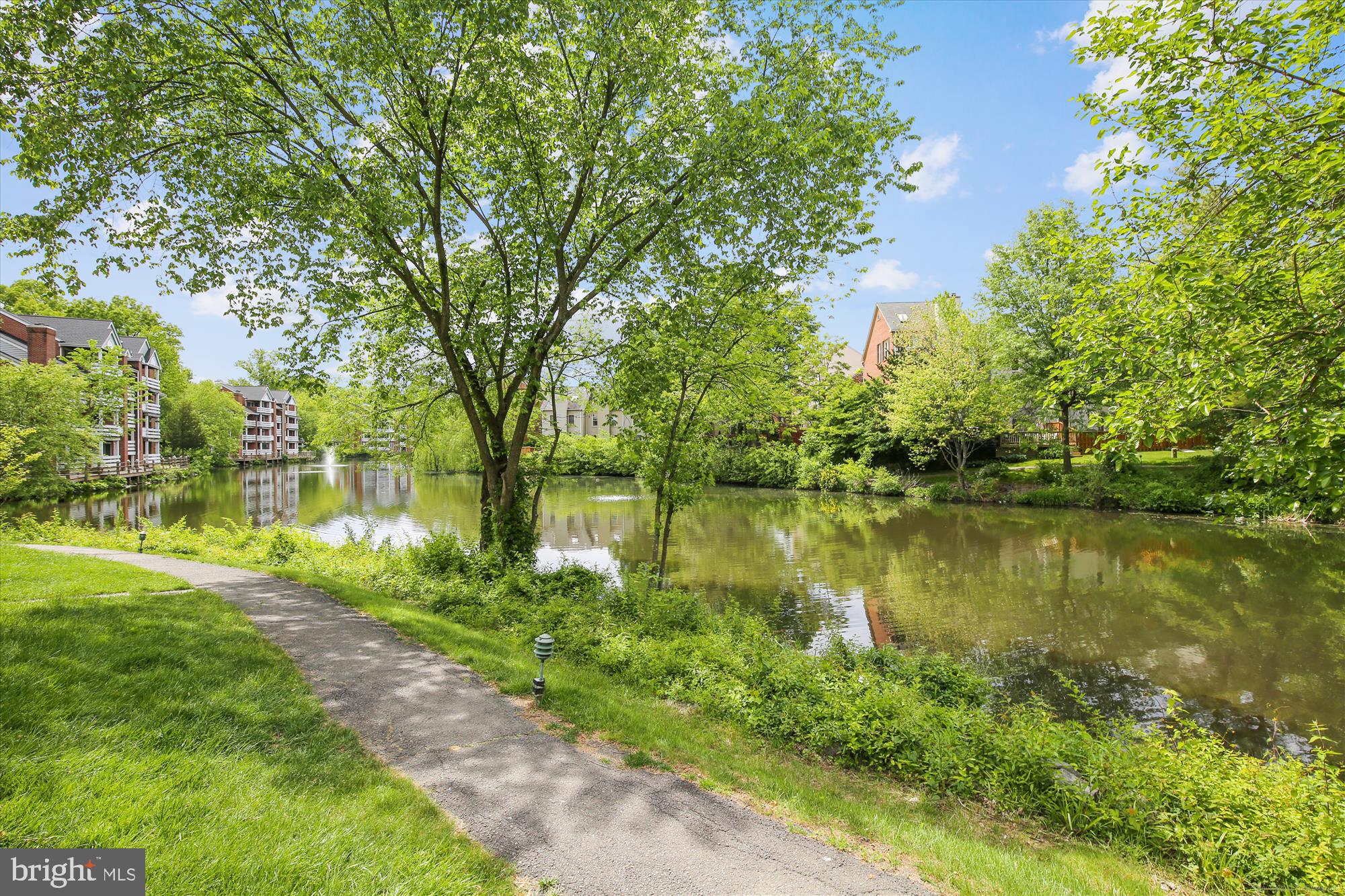 THE COVE - Residential