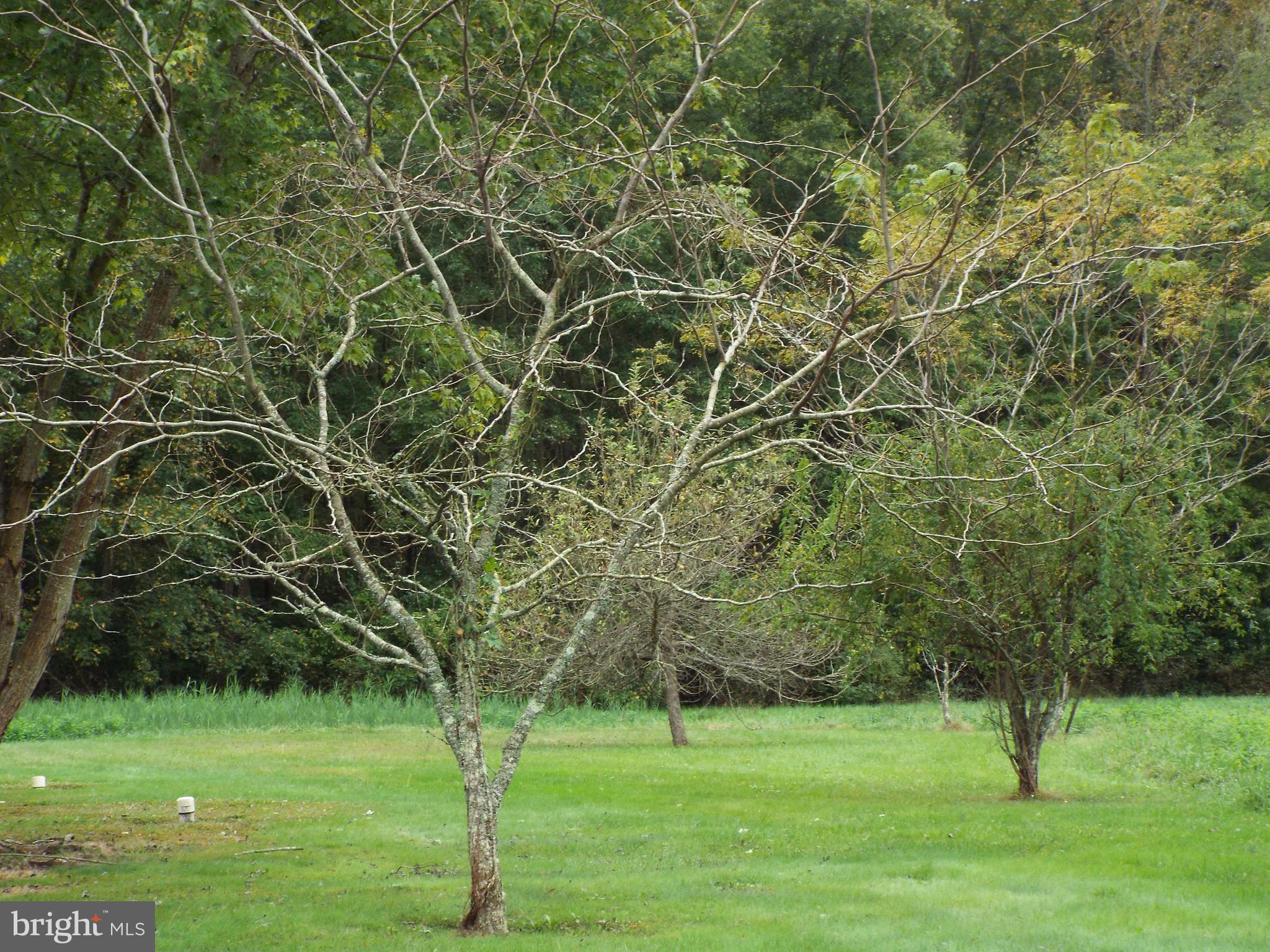 VIENNA - Residential