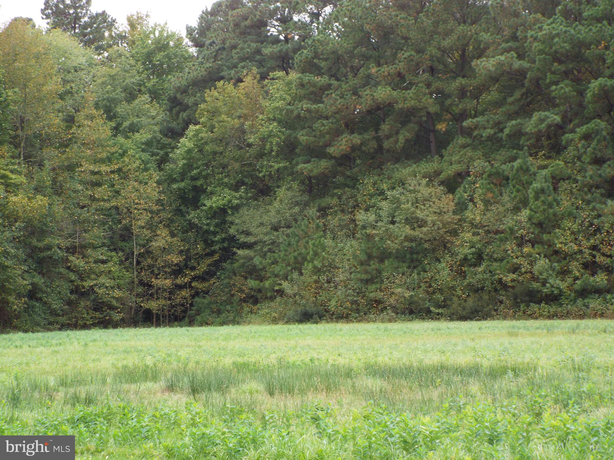 VIENNA - Residential