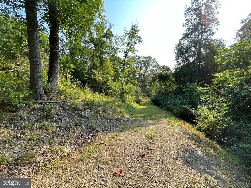 Don't want to deal with a bidding war on current home listings?  Why not build you dream home on a paved road?  Get exactly what you want without a fight!  Great Location between Romney and Fort Ashby.  Just a short distance from Keyser and Cumberland Md.  Live in a rural area and commute to work. (Some owner financing may be available)
