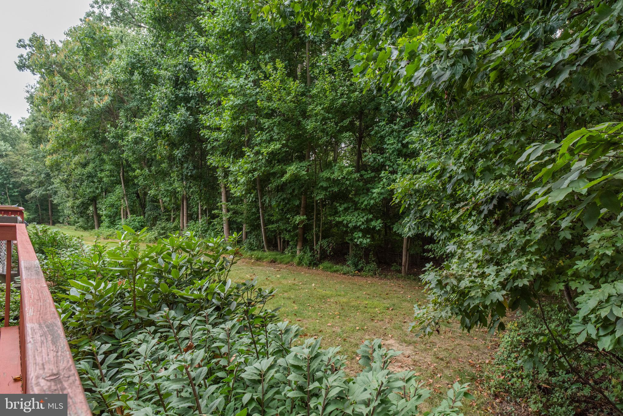 CANTERBURY WOODS - Residential