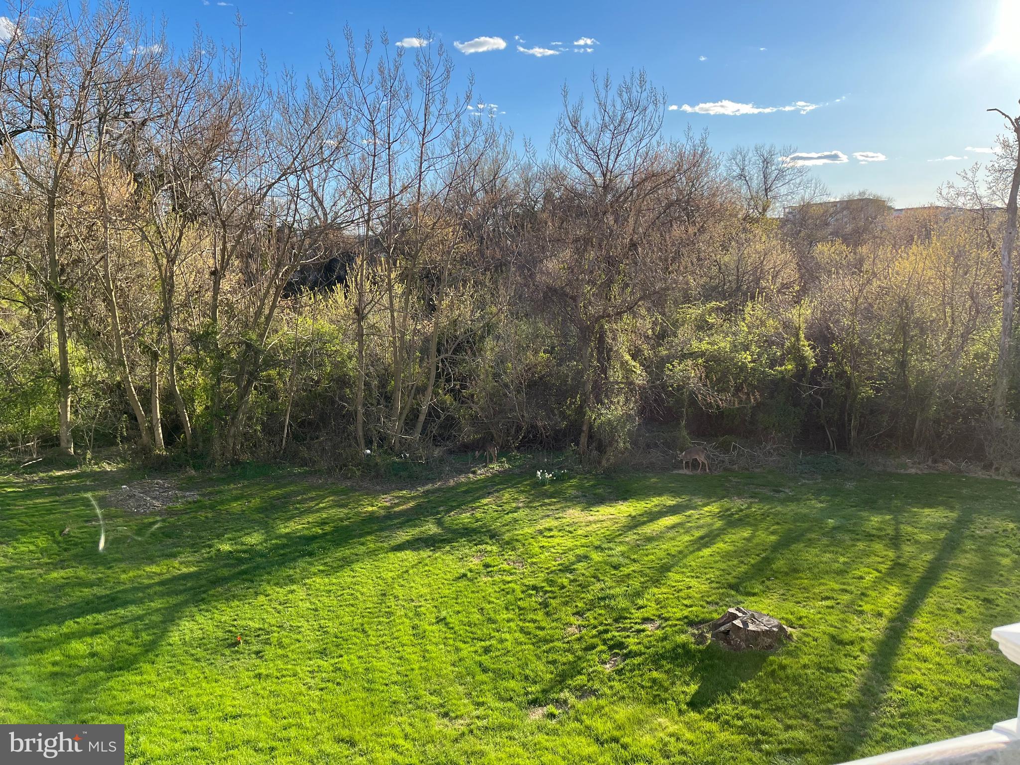 229 W 9TH AVENUE