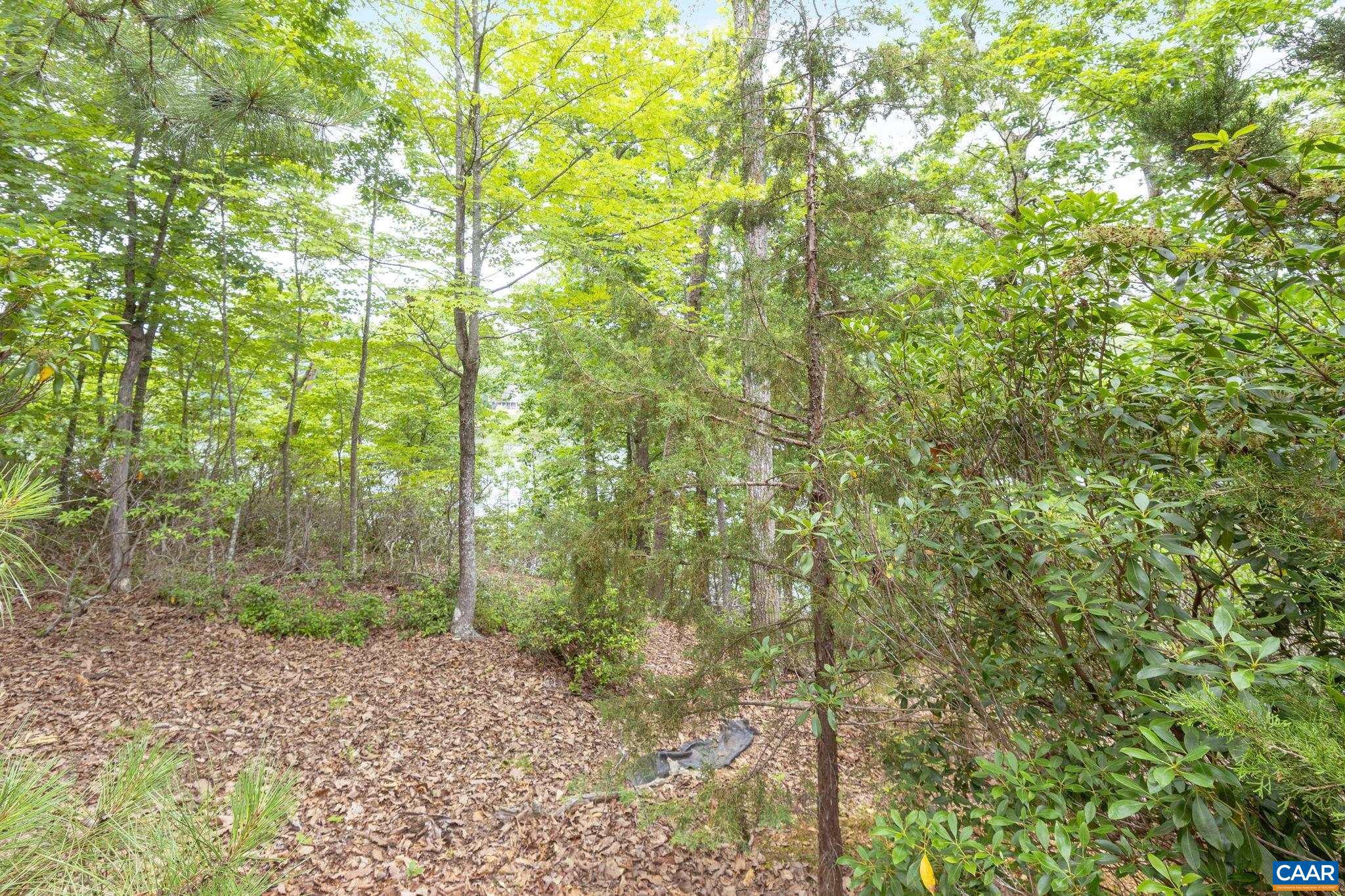 LAKE MONTICELLO - Residential