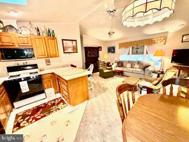 WHITE HORSE PARK II - Residential