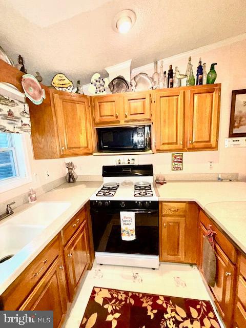 WHITE HORSE PARK II - Residential