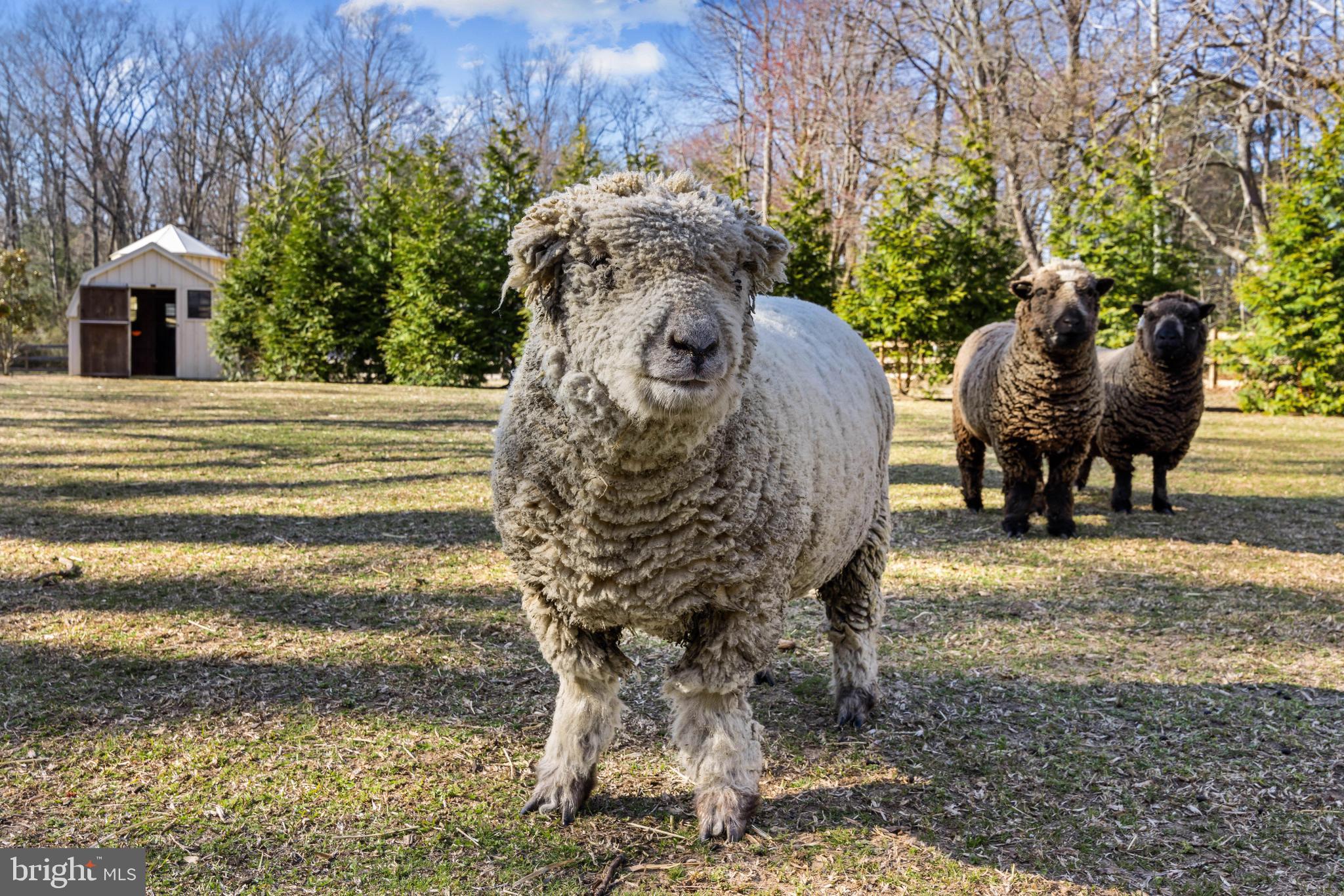 TYDINGS ON THE BAY - Residential