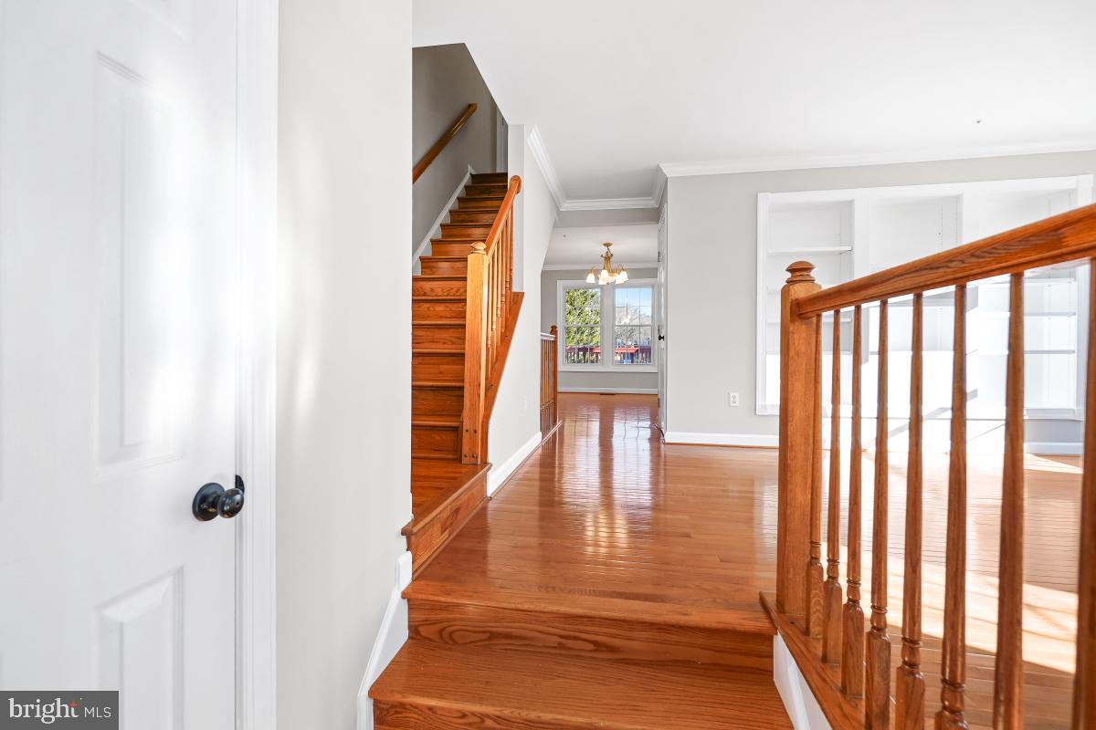 BRIGHTFIELD - Residential