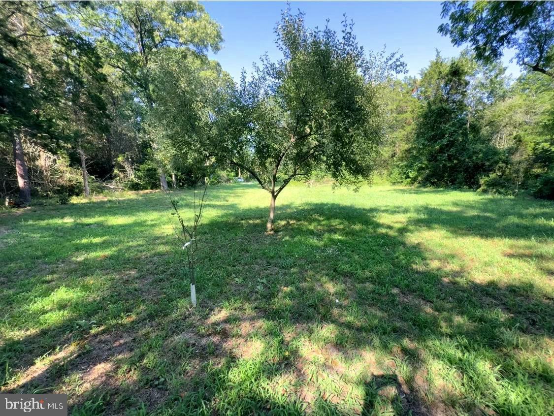 2425 NEWCOMBTOWN ROAD