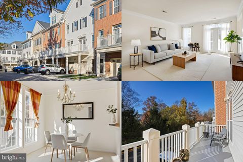 41971 BLUE FLAG TERRACE ALDIE VA 20105