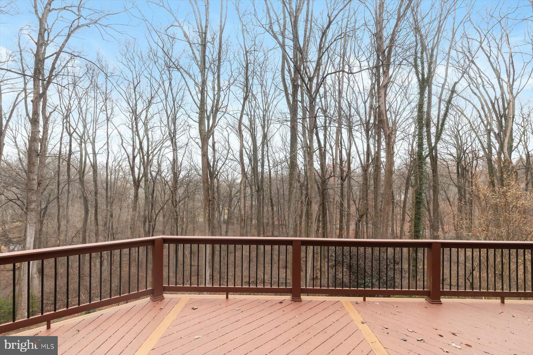 TRIADELPHIA WOODS - Residential