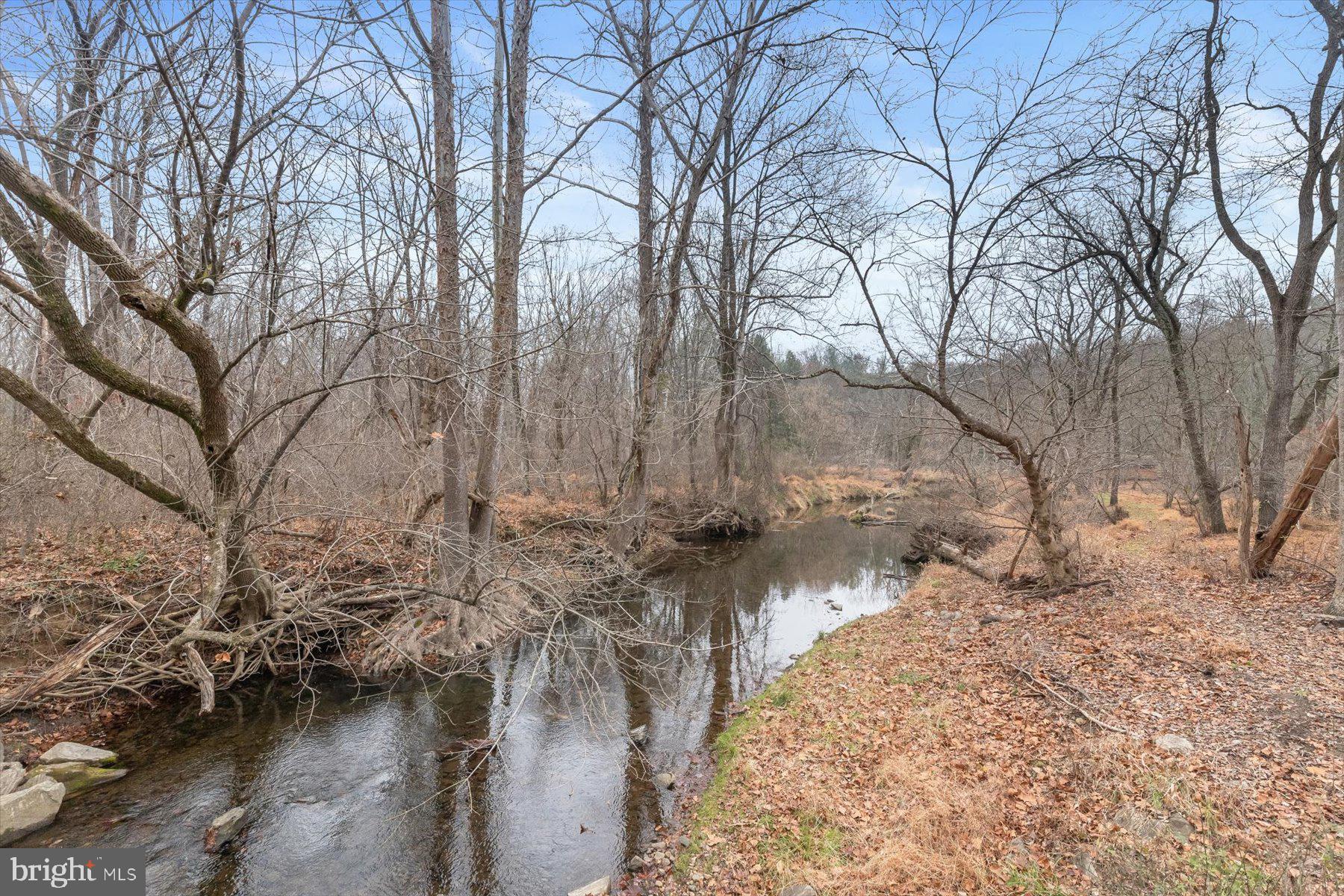 TRIADELPHIA WOODS - Residential