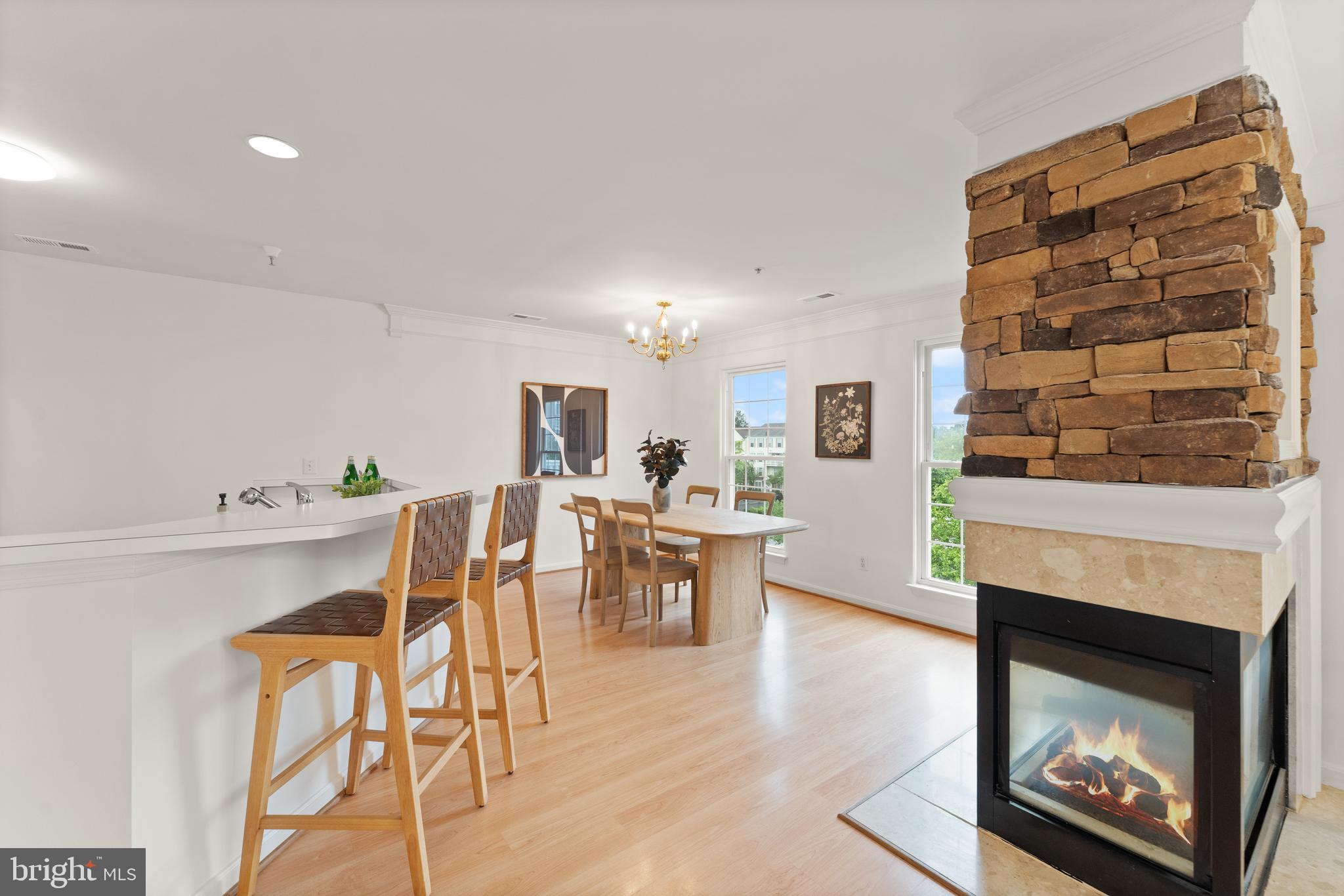 CHATHAM GREEN CONDOMINIUM - Residential