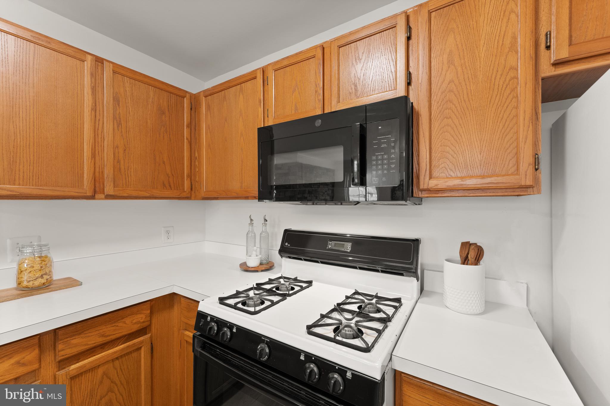 CHATHAM GREEN CONDOMINIUM - Residential