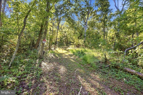 Vacant Land For Sale - Valley Park Court<br/> Warren County, STRASBURG, VA 22657
