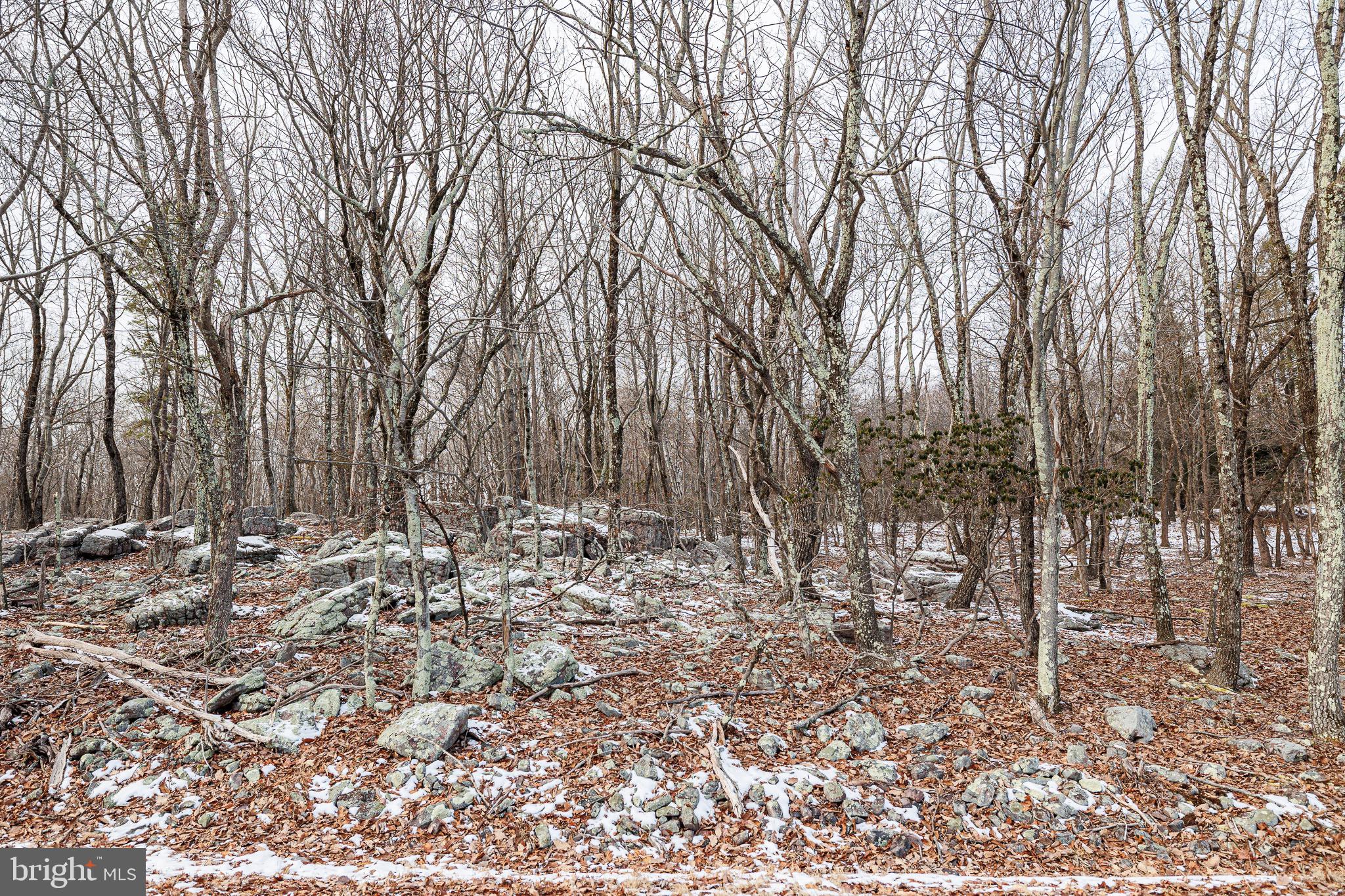 INDIAN MOUNTAIN LAKE - Land