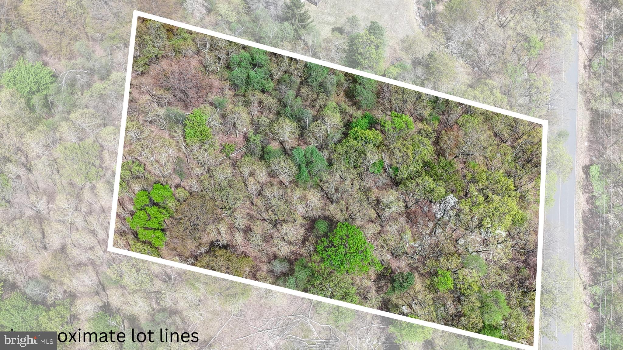 INDIAN MOUNTAIN LAKE - Land