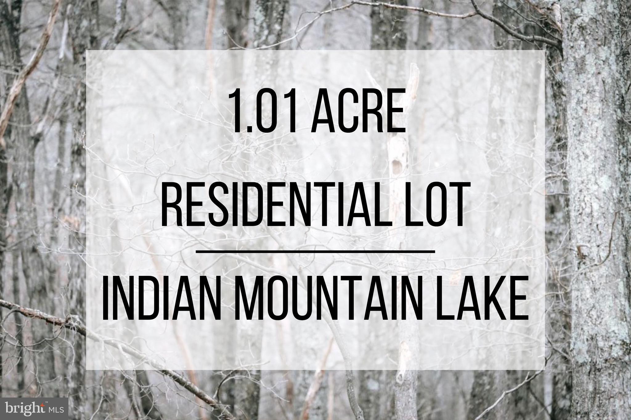 INDIAN MOUNTAIN LAKE - Land