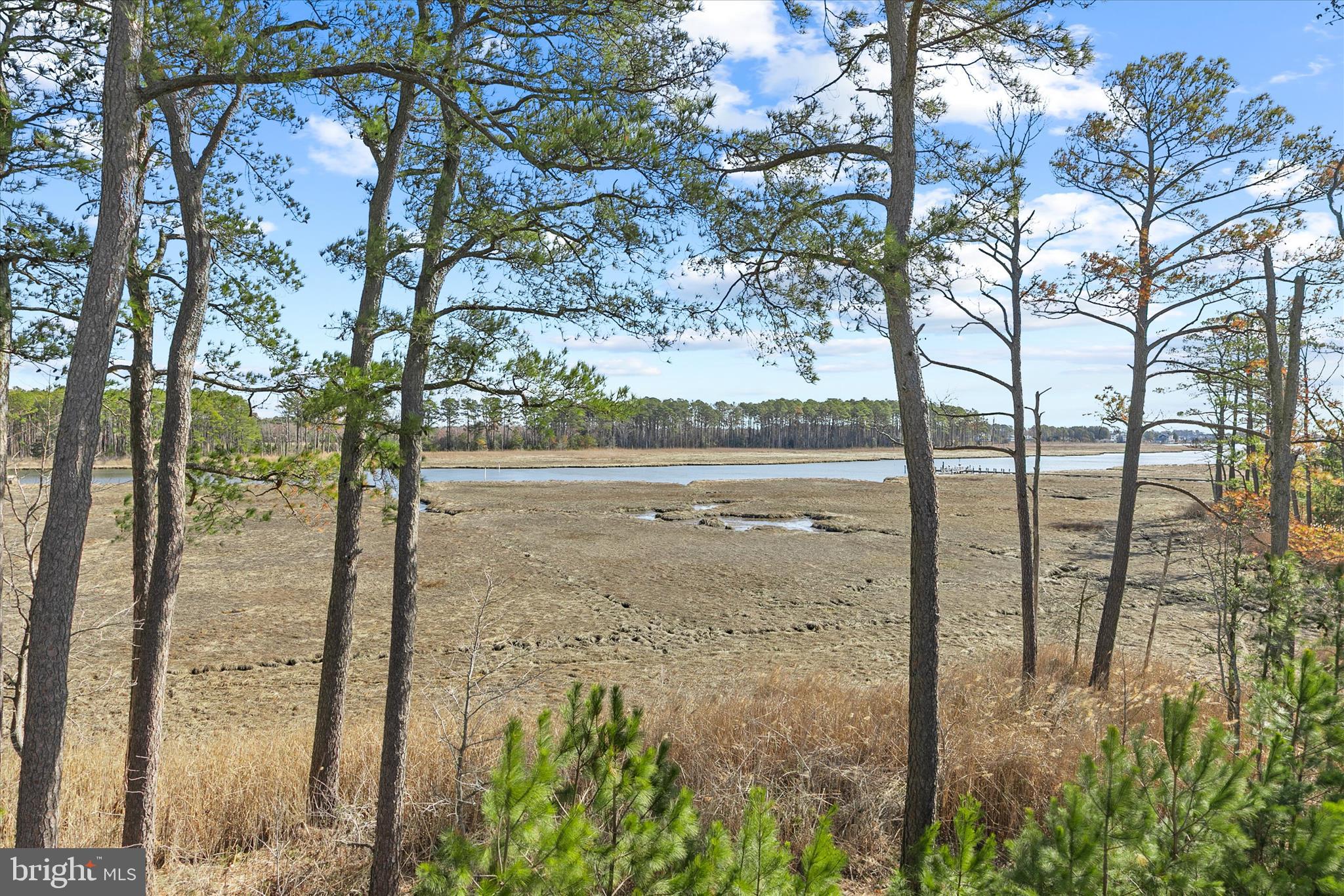 MARSH ISLAND IN LEWES - Residential