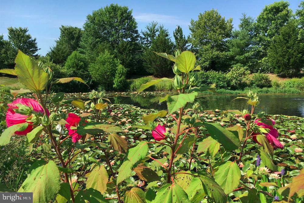 EASTON CLUB EAST - Residential